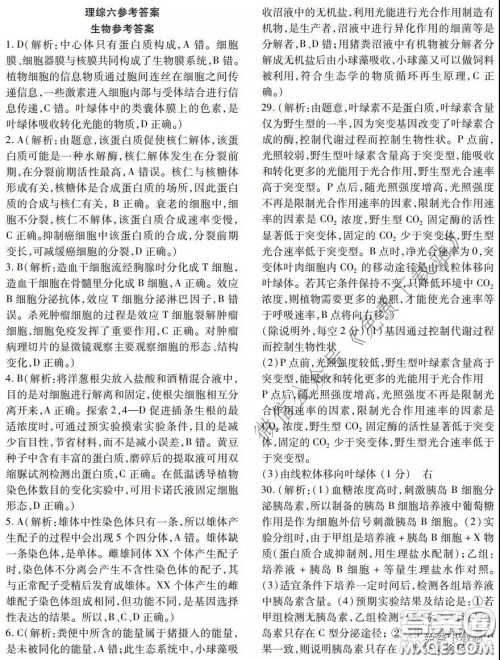 金学导航2020届高三模拟卷理科综合答案 金学导航2020届高三模拟卷理科综合答案