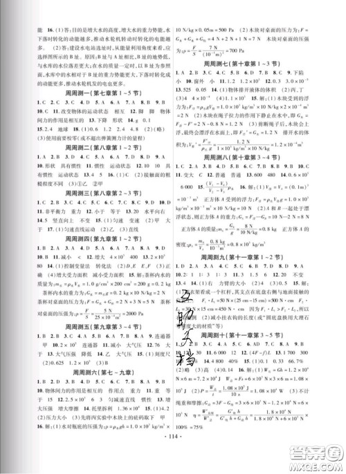 新疆文化出版社2020春课时掌控八年级物理下册教科版答案 新疆文化出版社2020春课时掌控八年级物理下册教科版答案