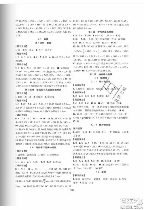 新疆文化出版社2020春课时掌控七年级数学下册湘教版答案