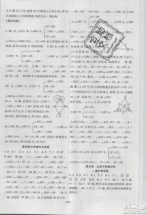 新疆文化出版社2020春课时掌控七年级数学下册北师大版答案