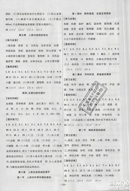 新疆文化出版社2020春课时掌控七年级生物下册人教版答案 新疆文化出版社2020春课时掌控七年级生物下册人教版答案