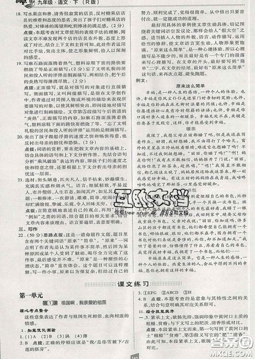 2020春综合应用创新题典中点九年级语文下册人教版答案 2020春综合应用创新题典中点九年级语文下册人教版答案