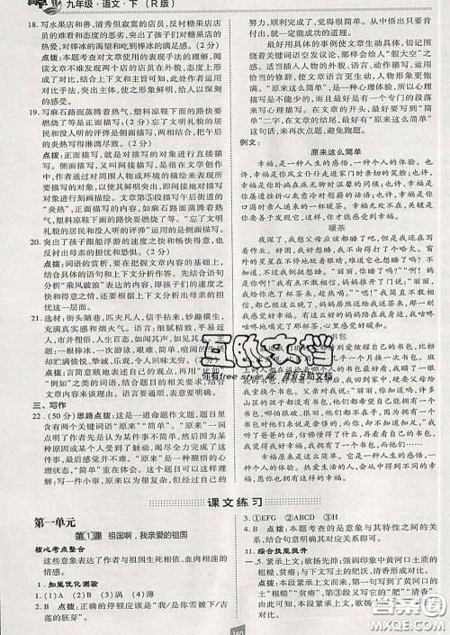 2020春综合应用创新题典中点九年级语文下册人教版答案