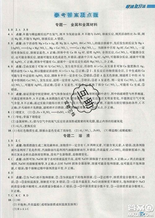 2020春综合应用创新题典中点九年级化学下册人教版答案