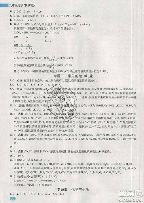 2020春综合应用创新题典中点九年级化学下册人教版答案 2020春综合应用创新题典中点九年级化学下册人教版答案
