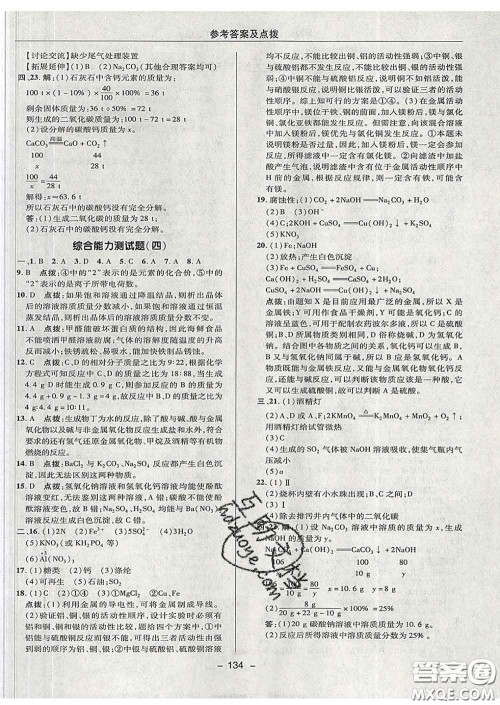 2020春综合应用创新题典中点九年级化学下册沪教版答案