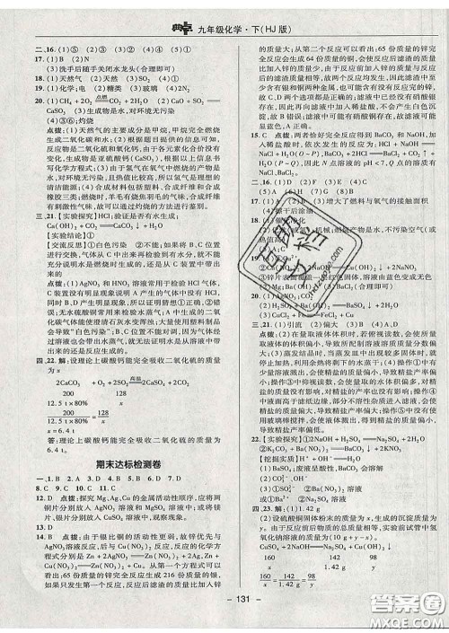 2020春综合应用创新题典中点九年级化学下册沪教版答案