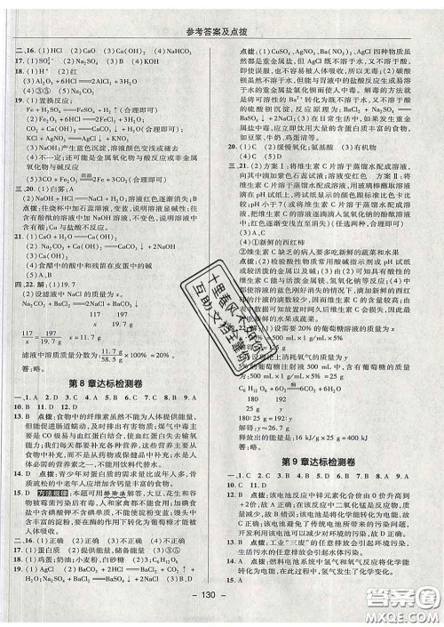 2020春综合应用创新题典中点九年级化学下册沪教版答案