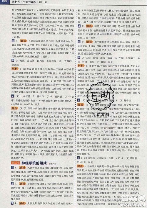 2020新版天星教育教材帮初中生物七年级下册人教版答案