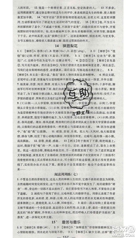 江西教育出版社2020春季名师测控七年级语文下册人教版答案 江西教育出版社2020春季名师测控七年级语文下册人教版答案