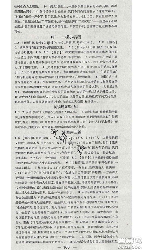 江西教育出版社2020春季名师测控七年级语文下册人教版答案 江西教育出版社2020春季名师测控七年级语文下册人教版答案