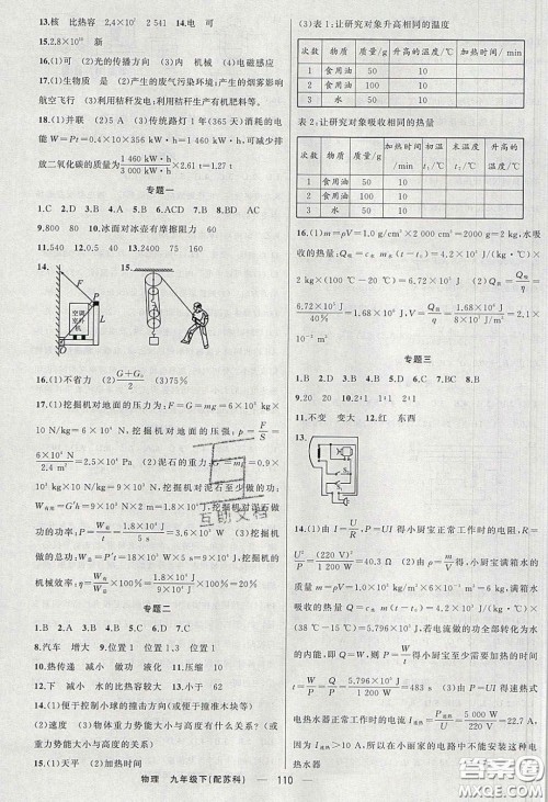 2020年四清导航九年级物理下册苏科版答案