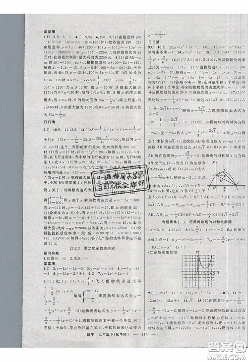 2020年四清导航九年级数学下册华师大版答案