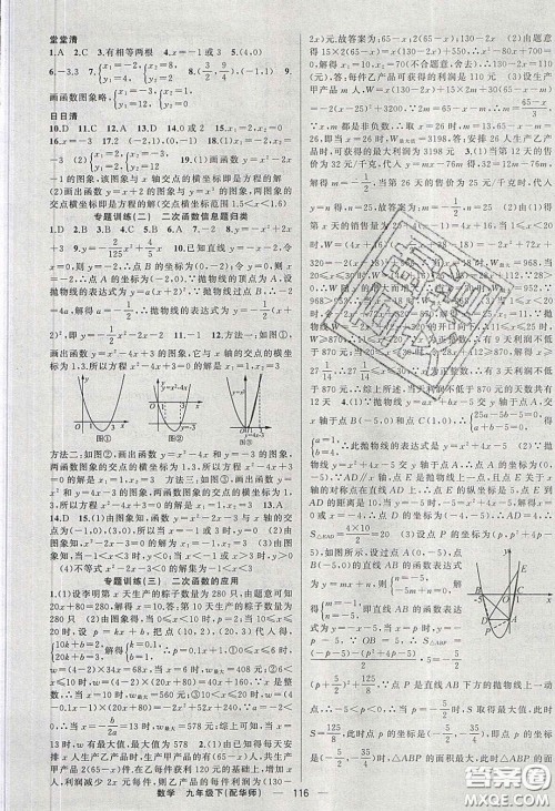 2020年四清导航九年级数学下册华师大版答案