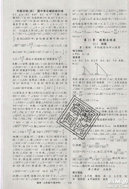 2020年四清导航九年级数学下册沪科版答案 2020年四清导航九年级数学下册沪科版答案