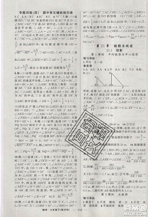 2020年四清导航九年级数学下册沪科版答案