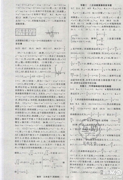 2020年四清导航九年级数学下册冀教版答案 2020年四清导航九年级数学下册冀教版答案