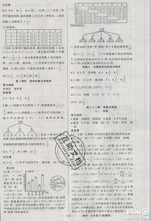 2020年四清导航九年级数学下册冀教版答案 2020年四清导航九年级数学下册冀教版答案