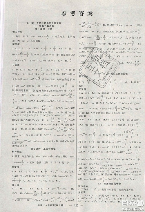 猎豹图书2020年四清导航九年级数学下册北师大版答案 猎豹图书2020年四清导航九年级数学下册北师大版答案