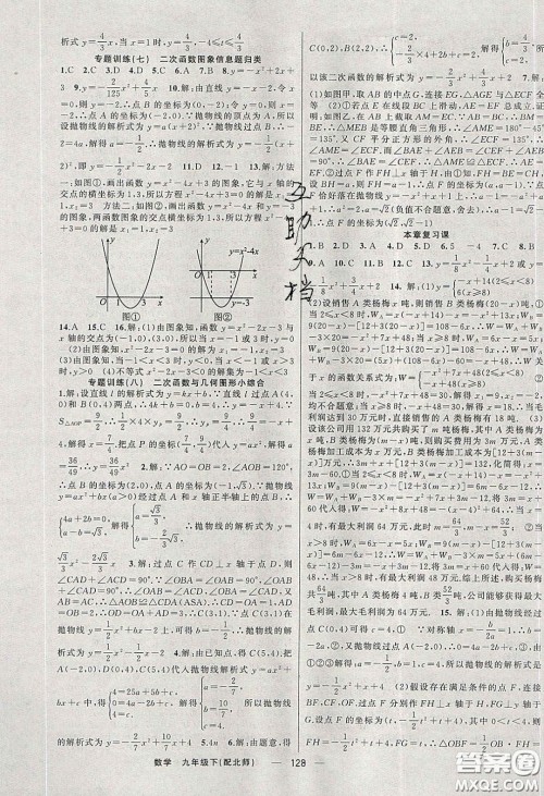 猎豹图书2020年四清导航九年级数学下册北师大版答案