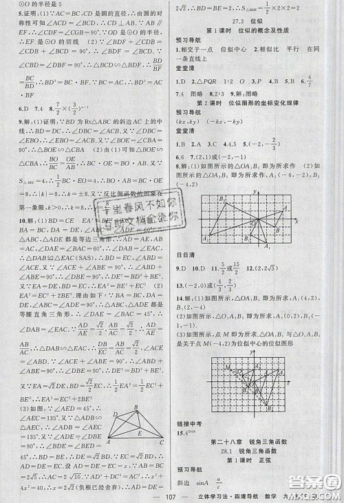 猎豹图书2020年四清导航九年级数学下册人教版答案