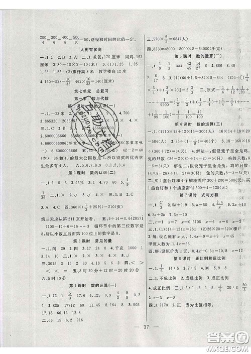2020春季高效课堂课时精练六年级数学下册苏教版答案 2020春季高效课堂课时精练六年级数学下册苏教版答案