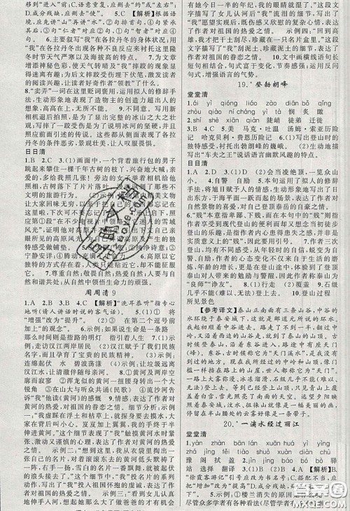 猎豹图书2020年四清导航八年级语文下册人教版答案