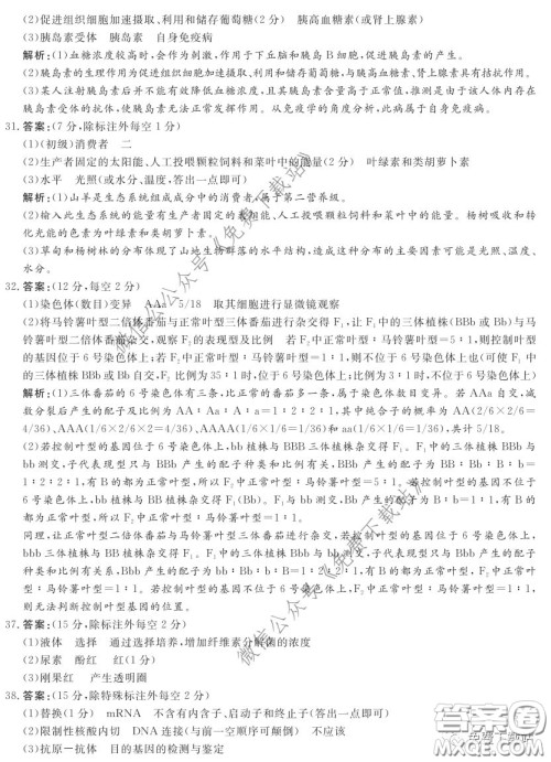 神州智达2020届高三诊断性大联考一理科综合试题及答案 神州智达2020届高三诊断性大联考一理科综合试题及答案