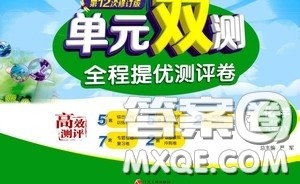 2020年单元双测全程提优测评卷化学九年级下册RMJY人民教育版参考答案