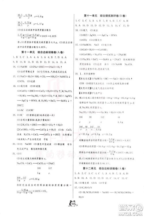 2020年单元双测全程提优测评卷化学九年级下册RMJY人民教育版参考答案