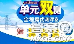 2020年单元双测全程提优测评卷数学九年级下册HSD华师大版参考答案