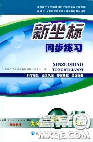 2020年新坐标同步练习语文九年级下册人教版参考答案