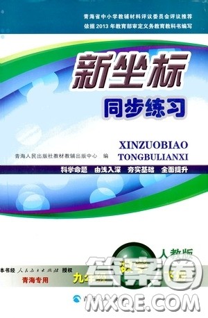 2020年新坐标同步练习数学九年级下册人教版参考答案
