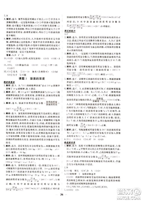 2020年新坐标同步练习化学九年级下册人教版参考答案