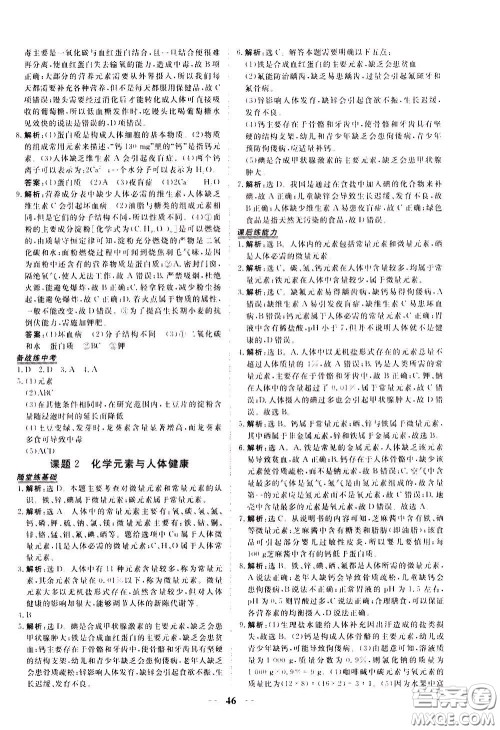 2020年新坐标同步练习化学九年级下册人教版参考答案