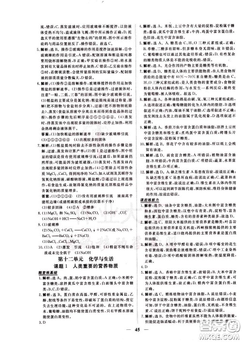 2020年新坐标同步练习化学九年级下册人教版参考答案