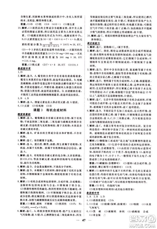 2020年新坐标同步练习化学九年级下册人教版参考答案 2020年新坐标同步练习化学九年级下册人教版参考答案