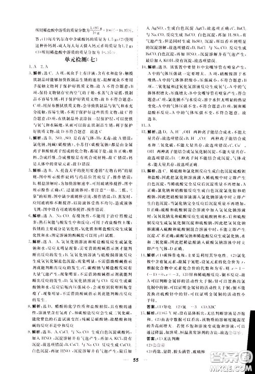 2020年新坐标同步练习化学九年级下册人教版参考答案