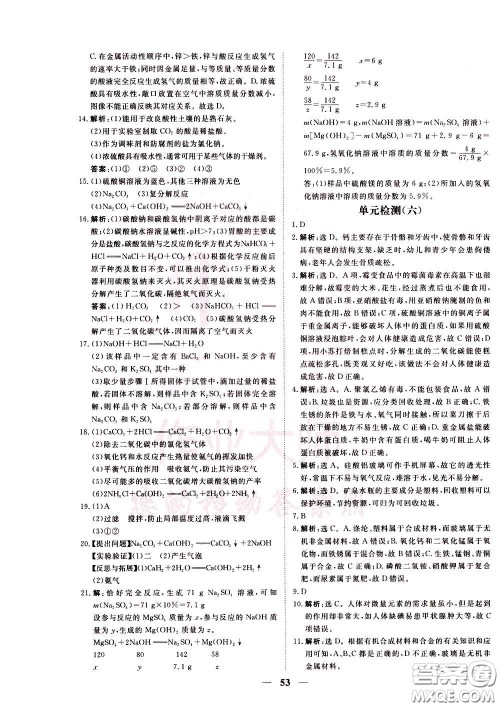 2020年新坐标同步练习化学九年级下册人教版参考答案