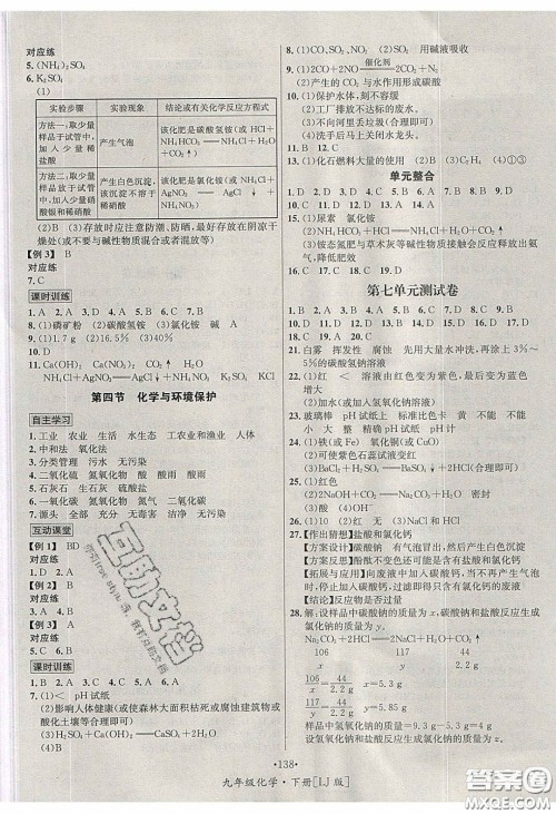 2020优学名师名题九年级化学下册鲁教版答案