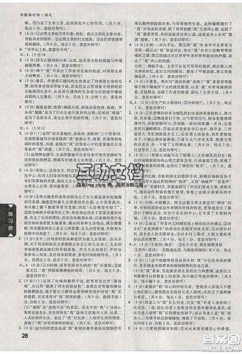 新疆青少年出版社2020年万维安徽中考面对面语文人教版答案 新疆青少年出版社2020年万维安徽中考面对面语文人教版答案