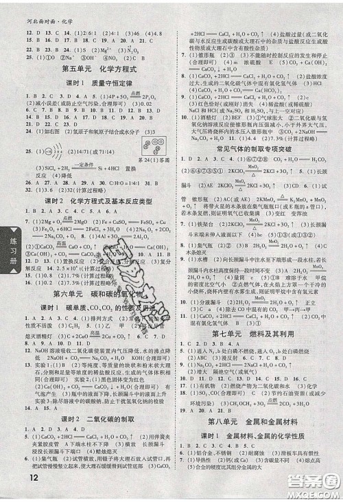 新疆青少年出版社2020年万维河北中考面对面化学人教版答案