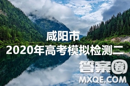 咸阳市2020年高考模拟检测二文科数学试题及答案