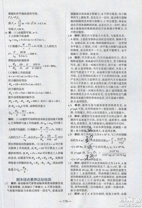 2020年金星教育同学八年级物理下册人教版答案 2020年金星教育同学八年级物理下册人教版答案