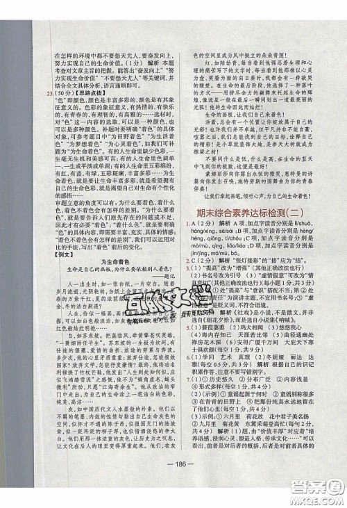 2020年金星教育同学八年级语文下册人教版答案 2020年金星教育同学八年级语文下册人教版答案