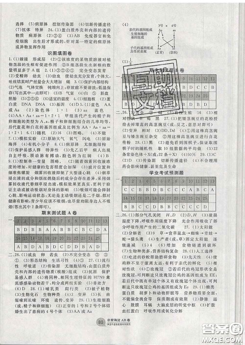 2020新版非常海淀单元测试AB卷八年级生物下册人教版答案 2020新版非常海淀单元测试AB卷八年级生物下册人教版答案