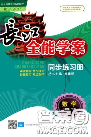 2020年长江全能学案同步练习册数学七年级下册人教版参考答案