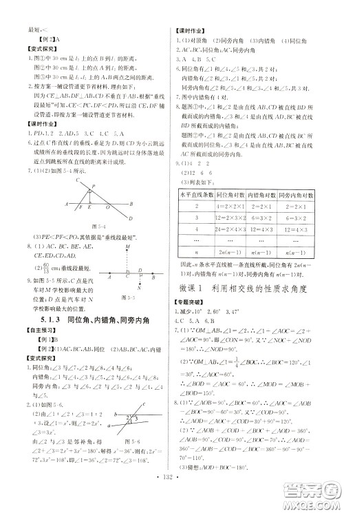2020年长江全能学案同步练习册数学七年级下册人教版参考答案