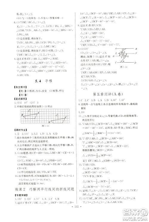 2020年长江全能学案同步练习册数学七年级下册人教版参考答案