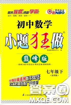 2020年初中数学小题狂做巅峰版七年级下册苏科版参考答案 2020年初中数学小题狂做巅峰版七年级下册苏科版参考答案